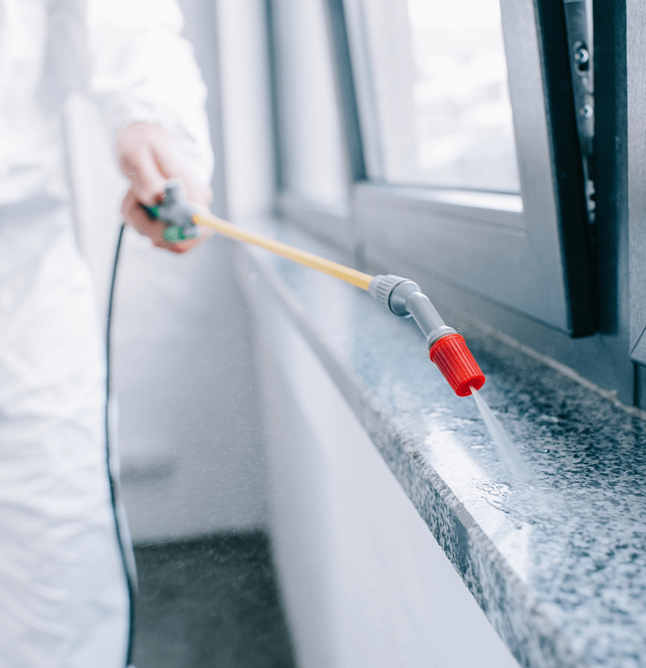 Why is it so important to Proof Homes for Rats, Mice & Squirrels in London?