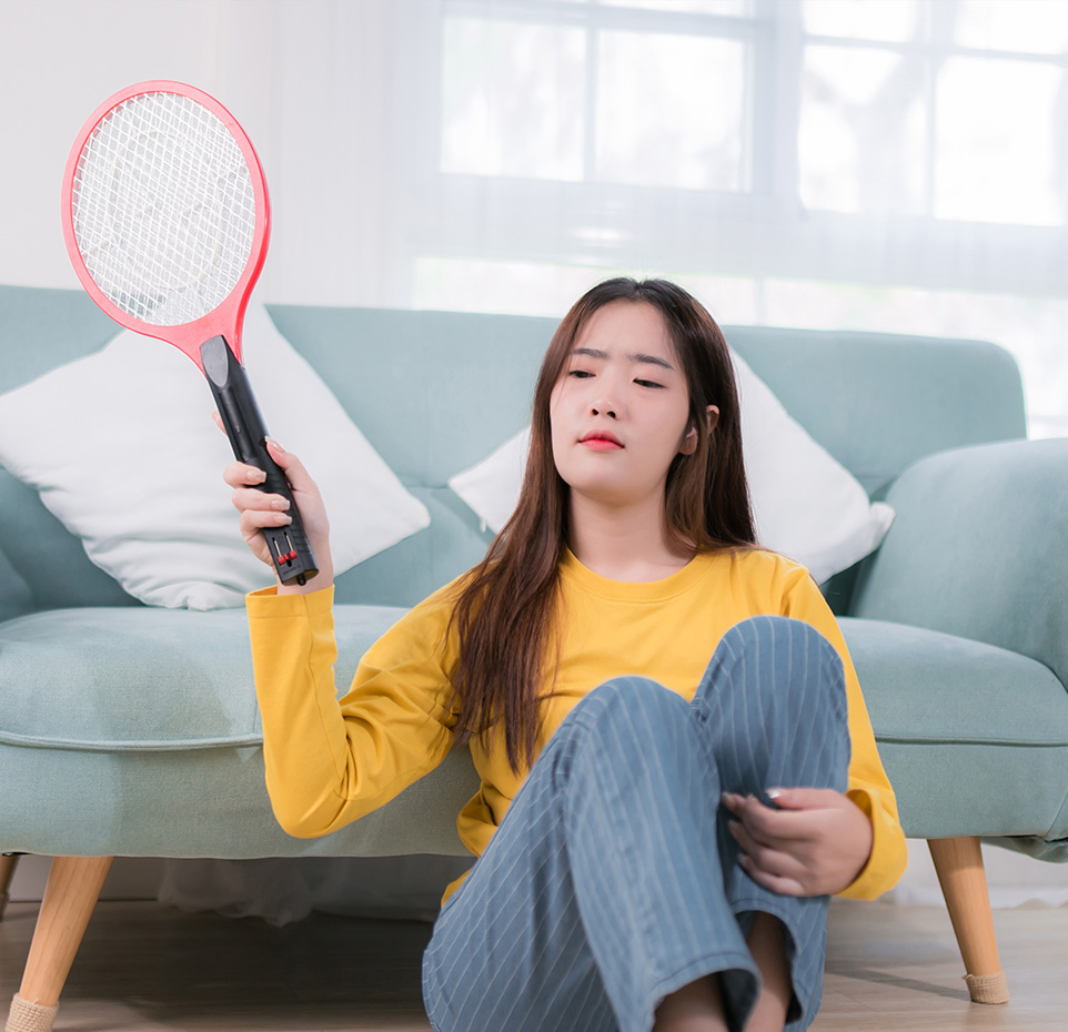 London's Pest Problem A Growing Concern