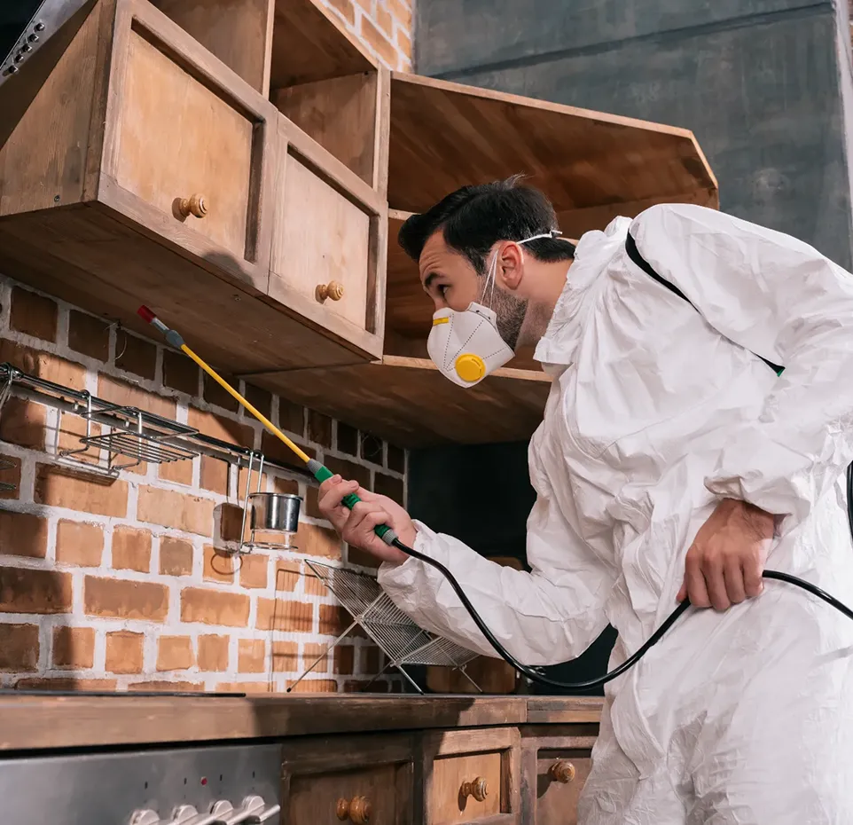 pest-control-worker-spraying-pesticides-london